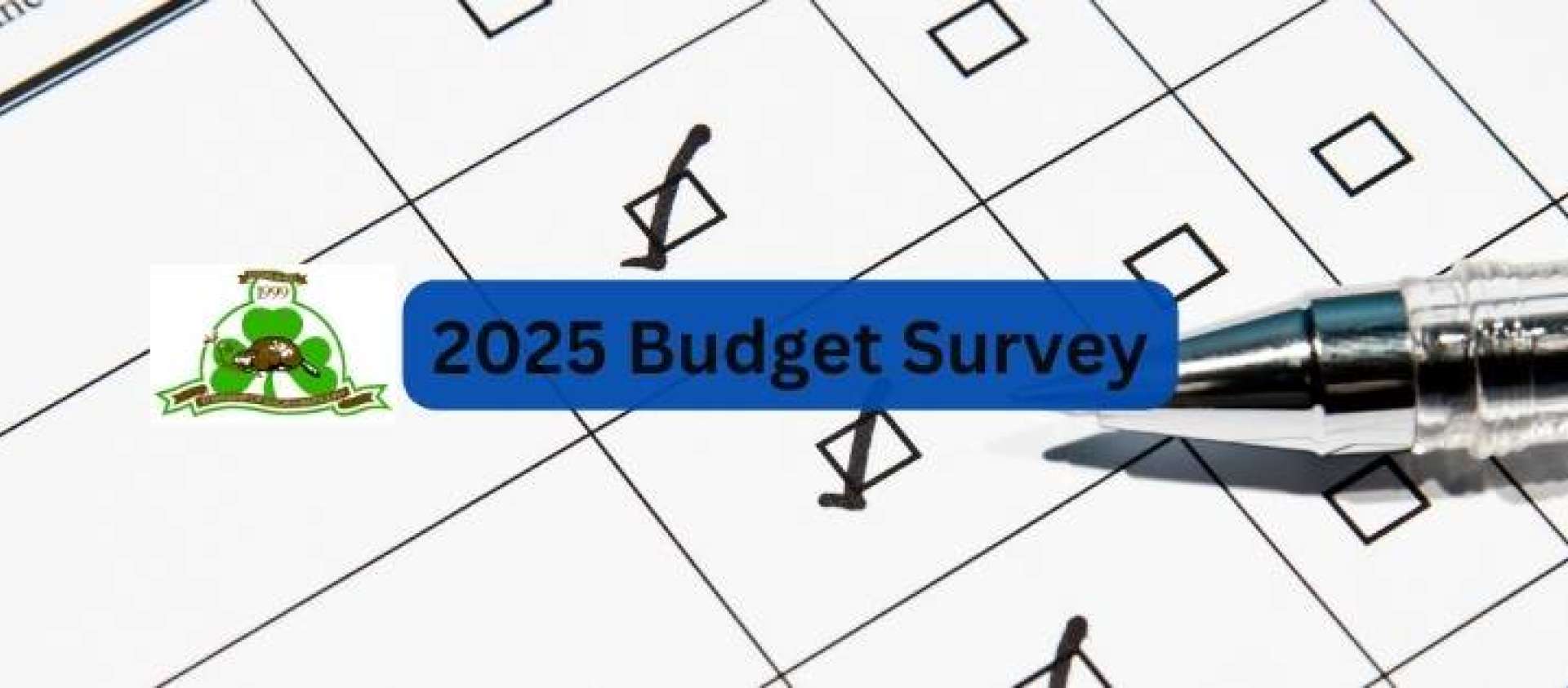 2025 Budget Survey